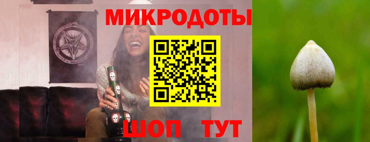 Кириши  Псилоцибиновые грибы Cubensis  Псилоцибиновые грибы Magic Shrooms  Вход с VPN 